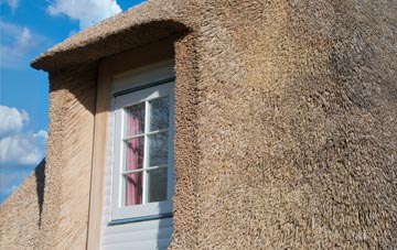 Melplash thatch roof disadvantages